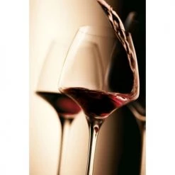 Chef&Sommelier Verres à Vin Verre à Pied Pro Tasting En Krysta Transparent -Verres Soldes Boutique verre a pied pro tasting en krysta transparent 4